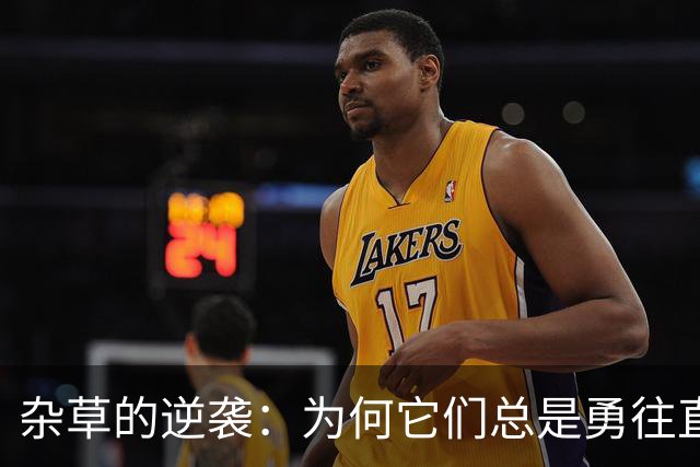 杂草的逆袭：为何它们总是勇往直前？